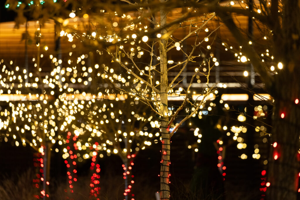 Red and warm white trees