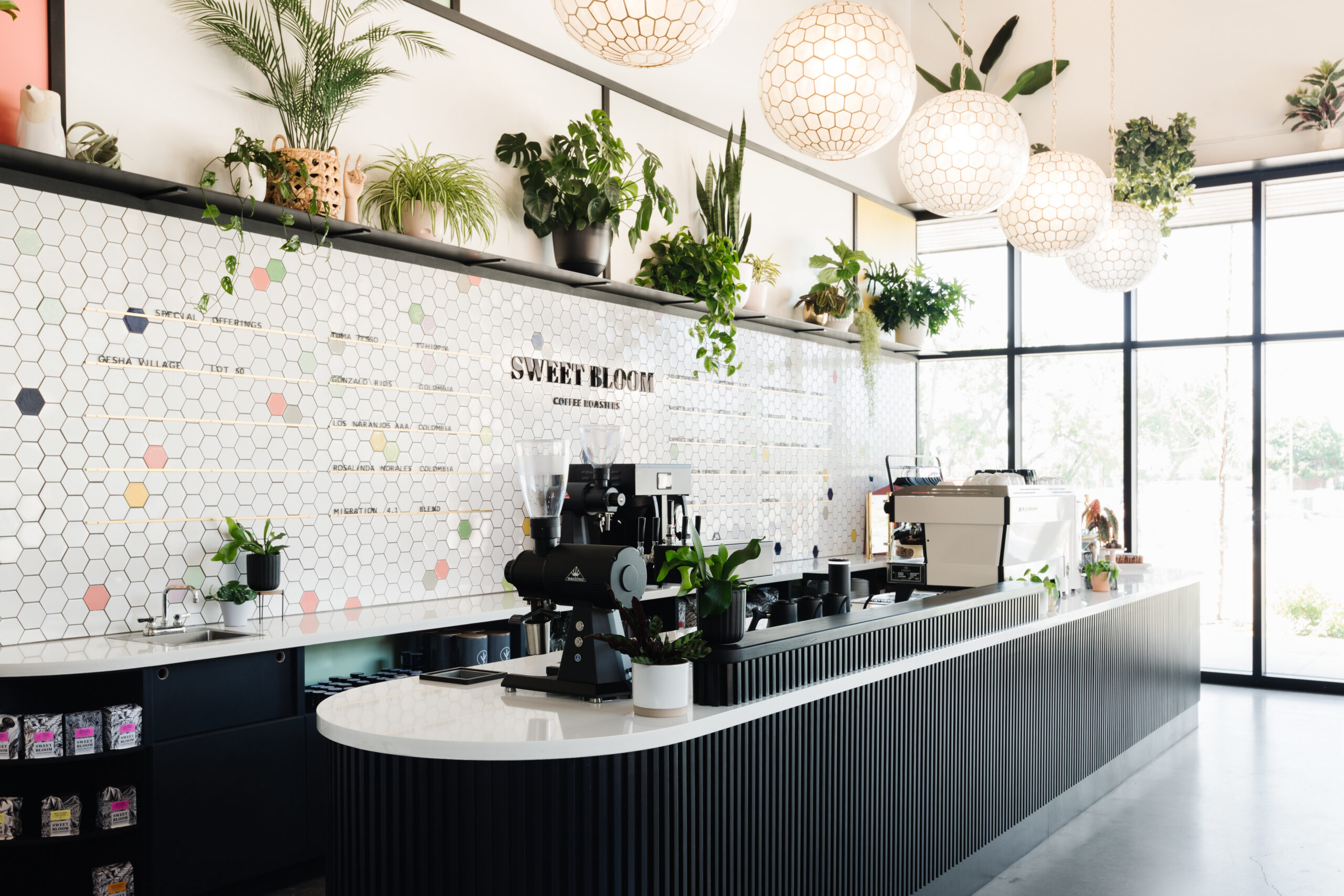 Sweet Bloom Ranked One of the Best Coffee Shops in the World